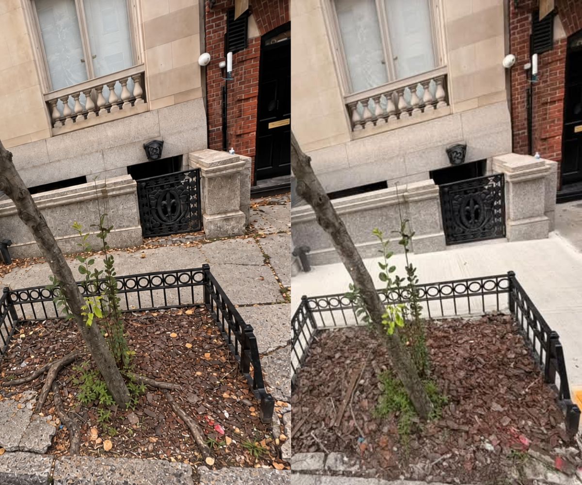 Before and after view showing cracked, uneven sidewalk near exposed tree roots and the completed concrete sidewalk repair at 22 E 67th St, Manhattan.