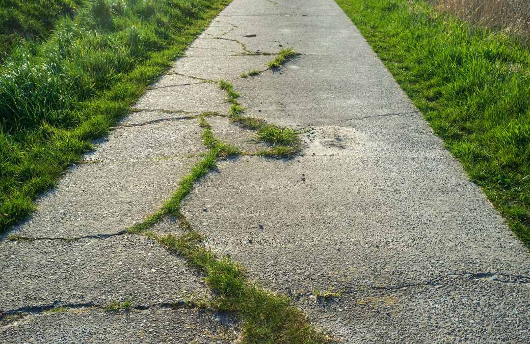 Cracked concrete sidewalk with grass growing through surface gaps and joints.